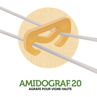 AMIDOGRAF20