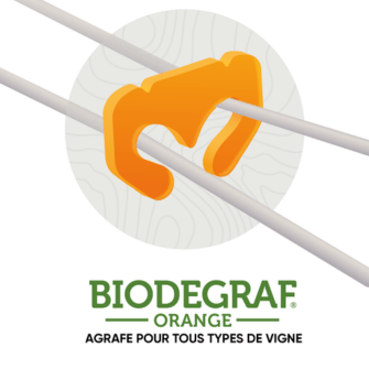 BIODEGRAF ORANGE