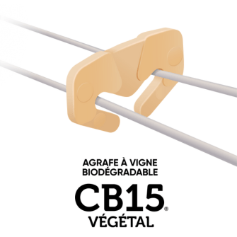 CB15 VEGETAL 1