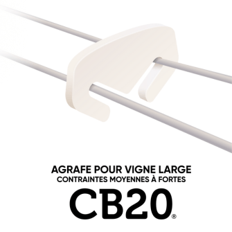CB20 1