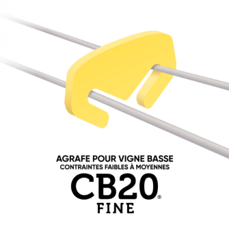 CB20 FINE