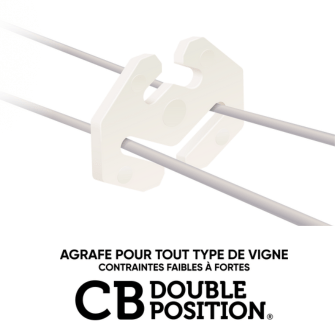 CB DOUBLE POSITION