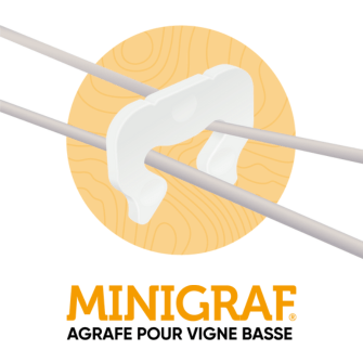 MINIGRAF