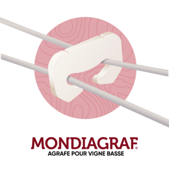 MONDIAGRAF