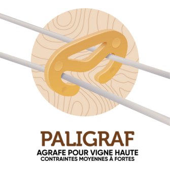 PALIGRAF