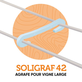 SOLIGRAF 42