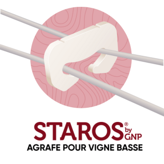 STAROS