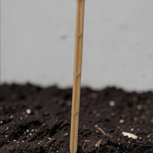 AMIDOPIC 15 - Pointe de paillage Biodégradable