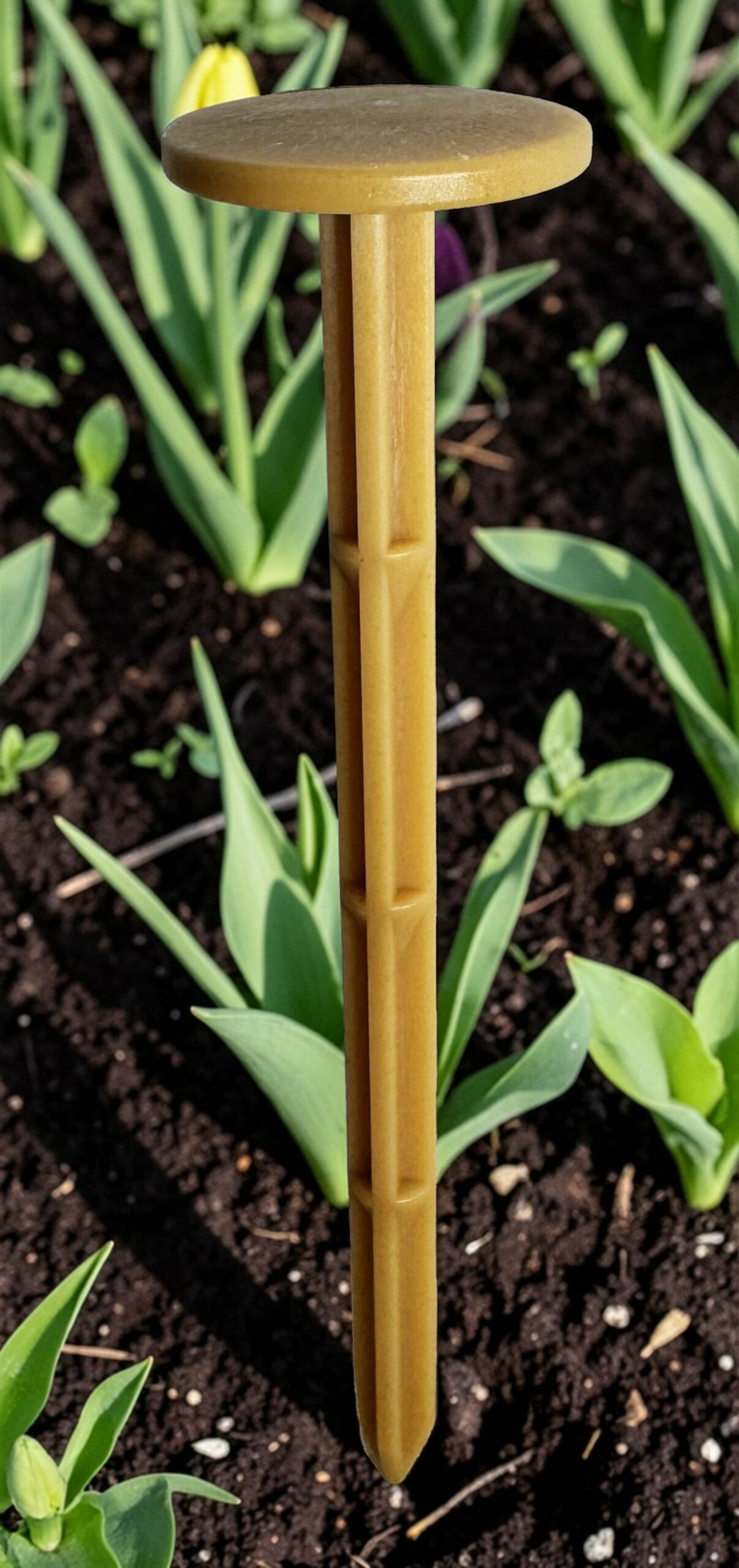 AMIDOPIC 33 - Pointe de paillage Biodégradable – Image 3